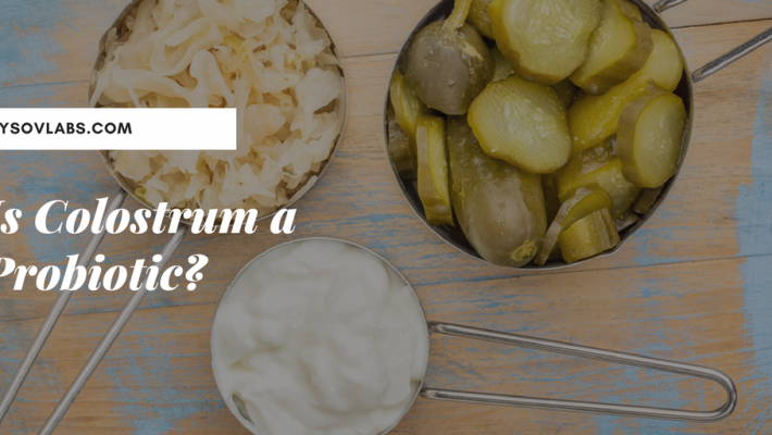 Is Colostrum a Probiotic? Is Colostrum a Probiotic?