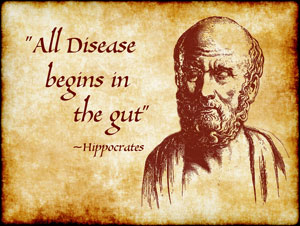 All disease begins in the gut - Hippocrates All disease begins in the gut - Hippocrates