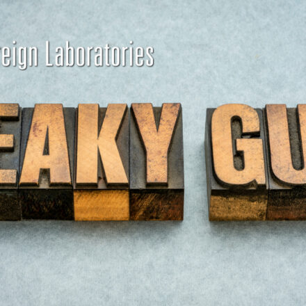 What is the Leaky Gut Diet and How Does It Work? - Sovereign Laboratories