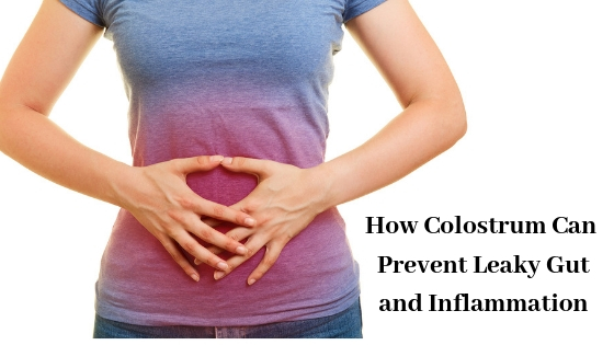 Can Colostrum Address Leaky Gut and Inflammation? Can Colostrum Address Leaky Gut and Inflammation?