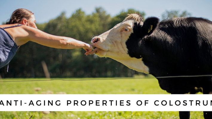 The Top 5 Anti-Aging Properties of Colostrum The Top 5 Anti-Aging Properties of Colostrum