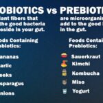 Probiotics vs Prebiotics: What’s the Difference?