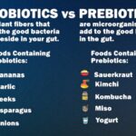 Probióticos vs Prebióticos: ¿Cuál es la diferencia?