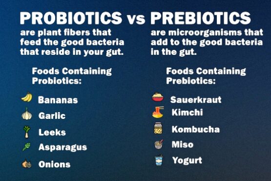 Probiotics vs Prebiotics: What’s the Difference? - Sovereign Laboratories