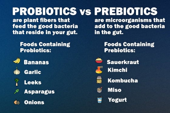 Probiotics vs Prebiotics: What’s the Difference? Probiotics vs Prebiotics: What’s the Difference?