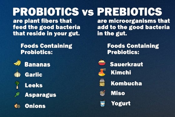 Probióticos vs Prebióticos: ¿Cuál es la diferencia?