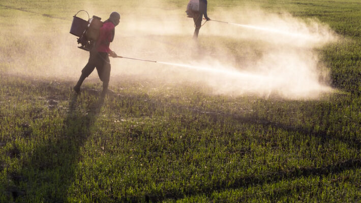 The Harmful Effects of Glyphosate