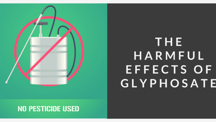 The Harmful Effects of Glyphosate