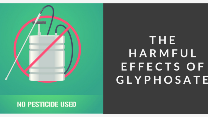 The Harmful Effects of Glyphosate The Harmful Effects of Glyphosate