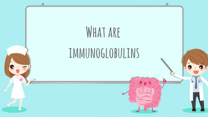 What Are Immunoglobulins, and How Can They Benefit You? What Are Immunoglobulins, and How Can They Benefit You?
