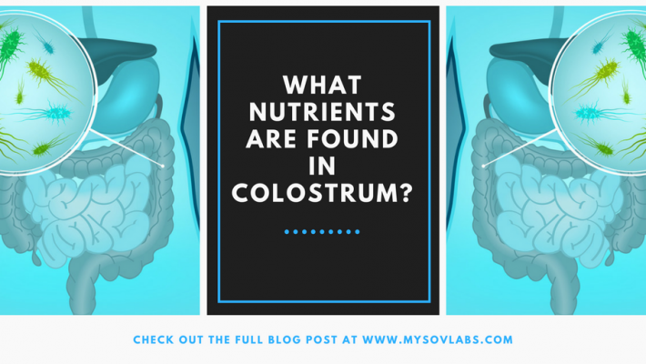 What Components Are Found in Colostrum?