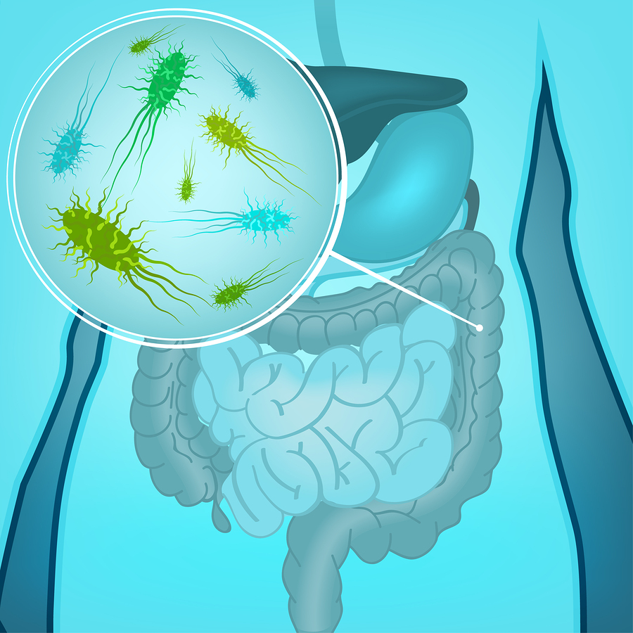 el calostro ayuda a curar un intestino permeable