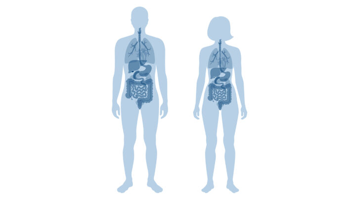 Understanding Liposomal Delivery and Colostrum Understanding Liposomal Delivery and Colostrum