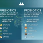Probiotics vs Prebiotics: What’s the Difference?
