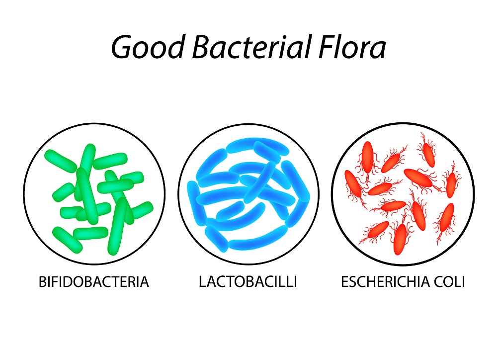 probiotics in colostrum 