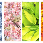 Seasonal Cleanse