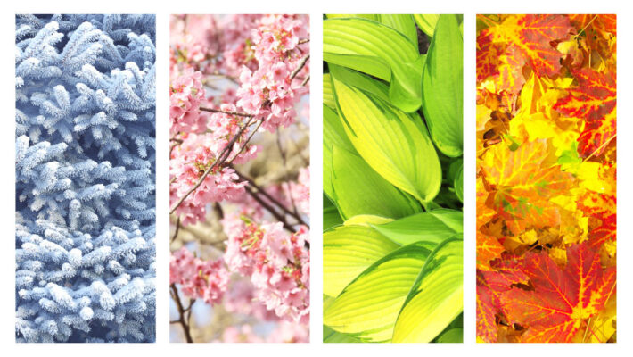 Seasonal Cleanse