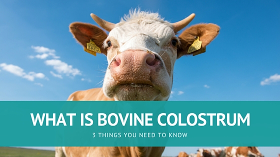 What Is Bovine Colostrum? 4 Things You Need to Know What Is Bovine Colostrum? 4 Things You Need to Know