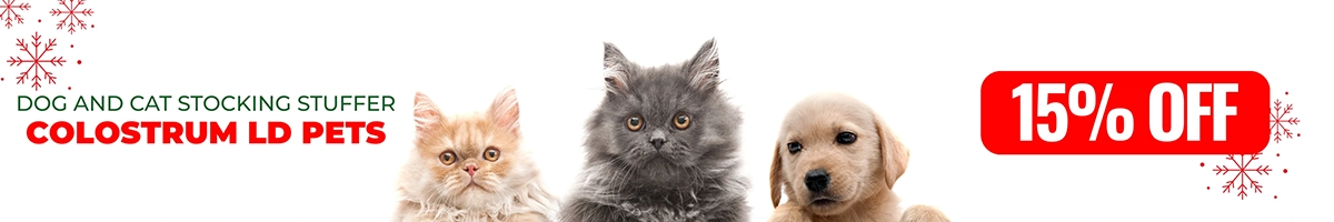 Dog and Cat Stocking Stuffer - Save 15%