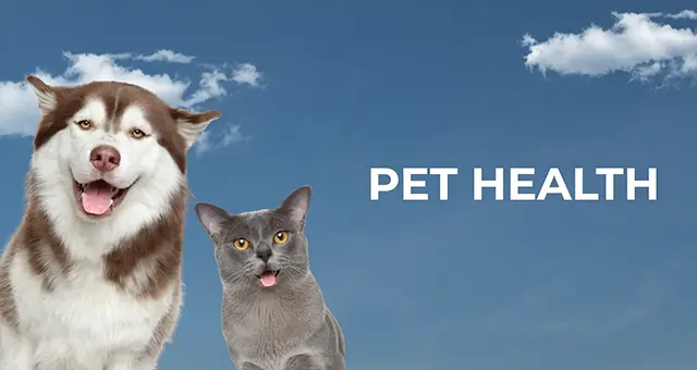 Pet Health