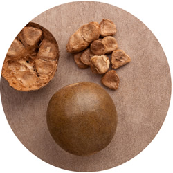 Monk fruit Extract