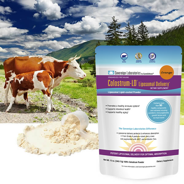 12oz Colostrum Powder Orange and Cows