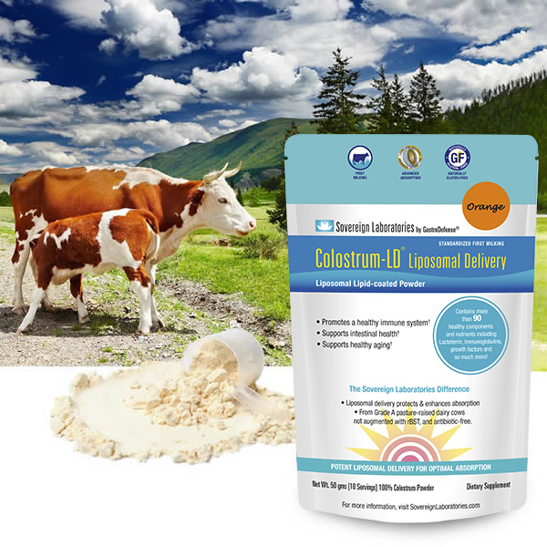 50g Orange Colostrum Powder and Cows