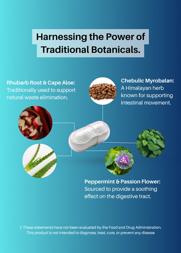 The GastroDefense® Overnight Cleanse formula contains a variety of ingredients to support overnight relief from occasional constipation