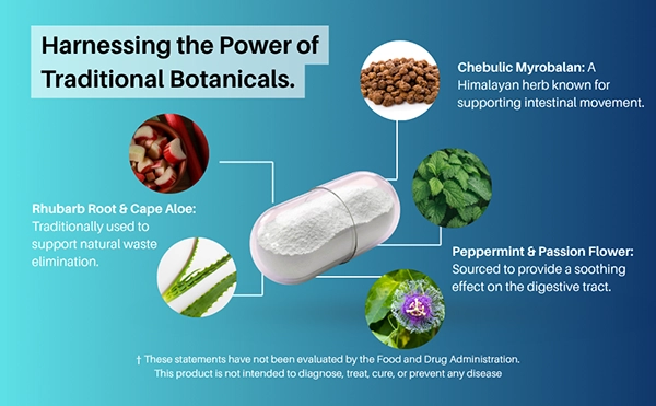 The GastroDefense® Overnight Cleanse formula contains a variety of ingredients to support overnight relief from occasional constipation