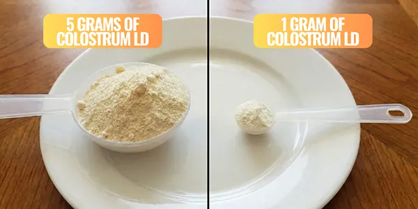 Serving Size Comparison