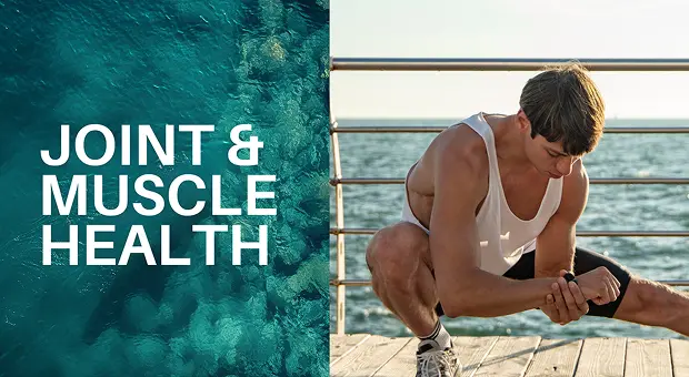 Joint & Muscle Health